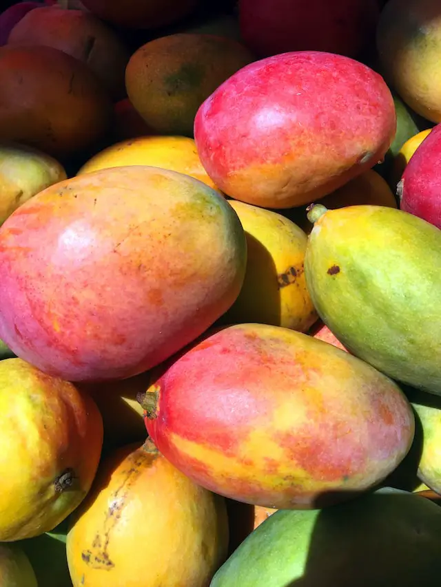 The plural of mango is mangoes or mangos